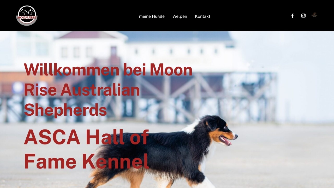 Moon Rise – Website-Vorschau